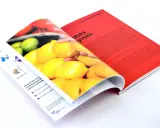 Otwarty katalog klejony z cytrynami na okładce. Na stronie widoczny tekst o relacjach z interesariuszami.