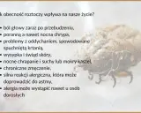 Roztocza, niewidoczny kurz, wywołują alergie, bóle głowy, problemy z oddychaniem i kaszel.