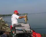 Wędkarz z dumą prezentuje złowioną rybę, obok stoi pojemnik z zanętą Champion Feed.