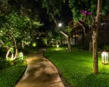 Chemin sinueux éclairé par des lampes de jardin, créant une ambiance chaleureuse. Une ampoule kelvin illumine un arbre fleuri.