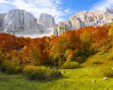 Un bosco incantato di **mozzafiato paesaggi autunnali italiani**, con montagne imponenti sullo sfondo e un tappeto erboso verde brillante.