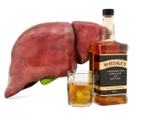 Wątroba obok butelki whiskey i szklanki z alkoholem symbolizuje negatywne skutki nadmiernego spożycia alkoholu, czyli spalanie alkoholu.