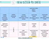 Tabela BLW: pierwszy miesiąc, tydzień 1 i 2. Jak rozszerzać dietę niemowlaka tabela z propozycjami posiłków i napojów.