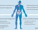 Schema zur Diagnose von Haltungsschäden, die auch den Kiefer betreffen können. Ein Bandscheibenvorfall im Kieferbereich wird hier mit anderen Diagnostiken verglichen.