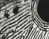 Campi arati visti dall'alto, un'opera di Mario Giacomelli. Le striature bianche e nere creano un paesaggio astratto e dinamico.