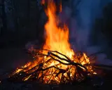 Jasne, że można palić ognisko na działce, ale z głową! Duże ognisko płonie w ciemności, otoczone drzewami.