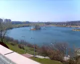 Spokojne jezioro Zatorze otoczone zielenią i zabudowaniami miejskimi. Na wodzie mała wyspa z drzewami.