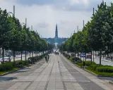 Aleja z drzewami i ławkami prowadzi do Jasnej Góry. Spacerowicze i samochody na ulicy. Co na mieście Częstochowa?