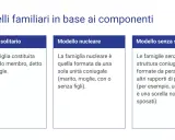 Il **concetto di famiglia** illustrato in tre modelli: solitario (un membro), nucleare (coppia con o senza figli) e senza struttura (altri parenti).