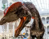 Model dinozaura w muzeum, gdzie można znaleźć darmowe muzea Warszawa. Wspaniała ekspozycja dla całej rodziny.