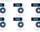 Sei file DNG, ciascuno con un'icona a forma di diaframma, sono visualizzati in una cartella di Windows.