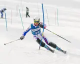 Narciarz w kombinezonie z numerem 29 wykonuje dynamiczny slalom na stoku, omijając tyczki.