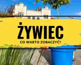 Żywiec rynek: zobacz urokliwe kamieniczki i poczuj atmosferę miasta.