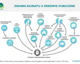 Walka o klimat: Co musisz wiedzieć o gazach cieplarnianych?