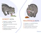 Ilustracja pokazuje dwa koty. Po lewej kot z wymiotami, po prawej kot z regurgitacją.