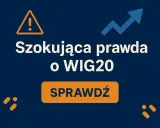 Szokująca prawda o WIG20! Wykres wzrostu i przycisk "Sprawdź" sugerują pilną analizę sytuacji na giełdzie.