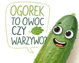 Wesoły ogórek zastanawia się: czy ogórek to owoc, czy warzywo? Jego uśmiech sugeruje, że odpowiedź jest ważna!