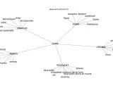 Carte mentale des synonymes et associations du mot CIDRE : poire, vinaigre, fruits, cognac, muscadet.