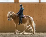Reiterin mit Helm und Pferd in Reithalle. Beachten Sie die Bahnregeln beim Reiten für Sicherheit und Harmonie.
