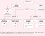 Schemat diagnostyczny torbieli nerek. Wskazuje na torbiel korową nerki, jej wielkość i objawy, prowadząc do rozpoznania.