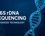 Sequenziamento del gene 16S rDNA, una tecnologia avanzata che svela i segreti del DNA.