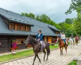 Stadnina Koni Olimpia: Czy to Twój Raj dla Jeźdźców i Koni?