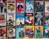 Una collezione di manga da leggere: Ken il Guerriero, Dragon Ball, Slam Dunk, Saint Seiya, Berserk, Lady Oscar, Naruto, Bleach, One Piece, Fullmetal Alchemist, Death Note, Demon Slayer, L'Attacco dei Giganti, Black Clover, Spy x Family, My Hero Academi...