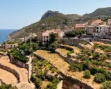 Terrassierte Hänge mit Bäumen und Trockenfeldern im **Tramuntana Gebirge** auf Mallorca. Im Hintergrund das Meer und ein Dorf.