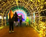 Rodzina spaceruje przez świetlisty tunel w Krakowie. Kolorowe lampki tworzą magiczny ogród świateł.