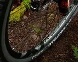 Koło rowerowe 700x25c z oponą Vittoria Martello na leśnej ścieżce.