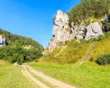 Malownicze dolinki krakowskie z wapiennymi skałami, lasami i ścieżką wspinaczkową.