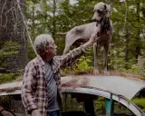 A man pets a Weimaraner standing on a rusted car roof in a forest, a scene reminiscent of William Wegman's most famous photos.