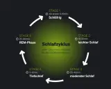 Schema des Schlafzyklus mit Phasen: Schläfrig, leichter Schlaf, moderater Schlaf, Tiefschlaf und REM-Phase. Ein Zyklus dauert 60-120 Minuten.
