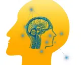 Cerebro humano con conexiones neuronales, representando el trastorno procesamiento auditivo.