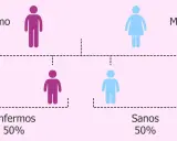 Diagrama de herencia genética: padre enfermo (morado) y madre sana (azul) tienen 50% de hijos enfermos y 50% sanos.