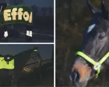 Sicher reiten im dunkeln mit reflektierender Ausrüstung. Pferde und Reiter sind gut sichtbar, auch bei Nacht.
