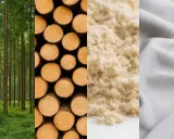 Från skog till tyg: en resa som visar hur tencel material skapas från träd.
