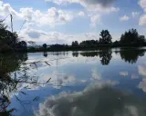 Spokojne jezioro w Czechowicach-Dziedzicach odbija błękitne niebo z chmurami.