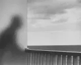 A silhouette of a person, reminiscent of a Peter Fetterman photograph, looks out at the ocean from behind a frosted glass.