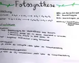 Die Fotosynthese-Gleichung wird erklärt, mit Einflussfaktoren wie Temperatur, Lichtintensität und CO2-Konzentration.