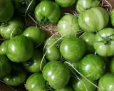 Un panier rempli de tomates green zebra, leurs rayures vertes vibrantes promettent une saveur unique.