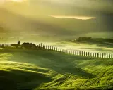 Dolci colline verdi illuminate dal sole del mattino, con un casale e un viale di cipressi che invitano a una vacanza in Val d'Orcia.