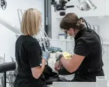 Dwie dentystki pracują przy pacjencie. Jedna używa mikroskopu, druga trzyma narzędzie. To obrazek pokazujący, jak zostać dentystą.