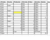 Trainingsplan für Marathon-Vorbereitung: Wochenübersicht mit Bein- und Oberkörpertraining.