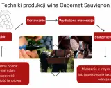 Cabernet Sauvignon: Król win? Poznaj smak, sekrety i pairing!