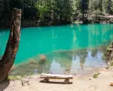 Turkusowe, krystalicznie czyste kolorowe jeziorka otoczone lasem. Drewniana ławka zaprasza do odpoczynku nad wodą.