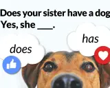 Piesek uczy angielskiego: "Does your sister have a dog?" - "Yes, she has.