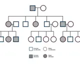 Árbol genealógico que muestra la herencia dominante. Individuos afectados (cuadrados y círculos grises) y no afectados (cuadrados y círculos blancos) a través de varias generaciones.