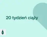 20 tydzień ciąży. Serce i ikony D+ oraz kobiety w ciąży na jasnym tle.