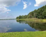 Spokojny zalew bolimowski odbija błękitne niebo z chmurami. Bujna zieleń drzew i trzcin tworzy malowniczy krajobraz.
